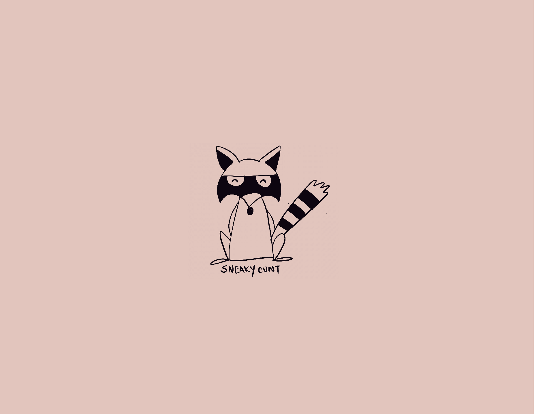 Cute racoon with words 'sneaky cunt' on a soft pink cover.